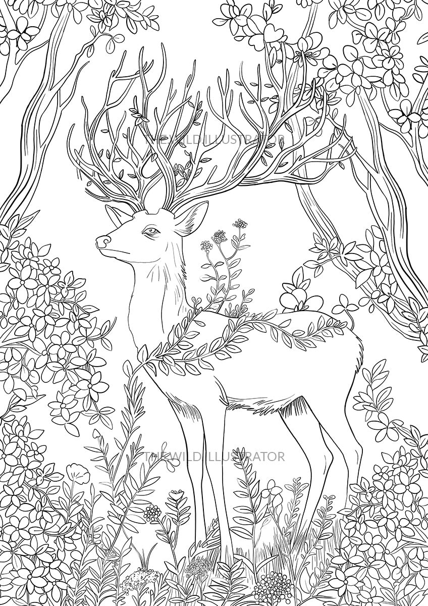 Highly detailed deer in a forest coloring page, featuring intricate woodland plants and trees. Perfect for mindfulness and stress-relieving coloring sessions.