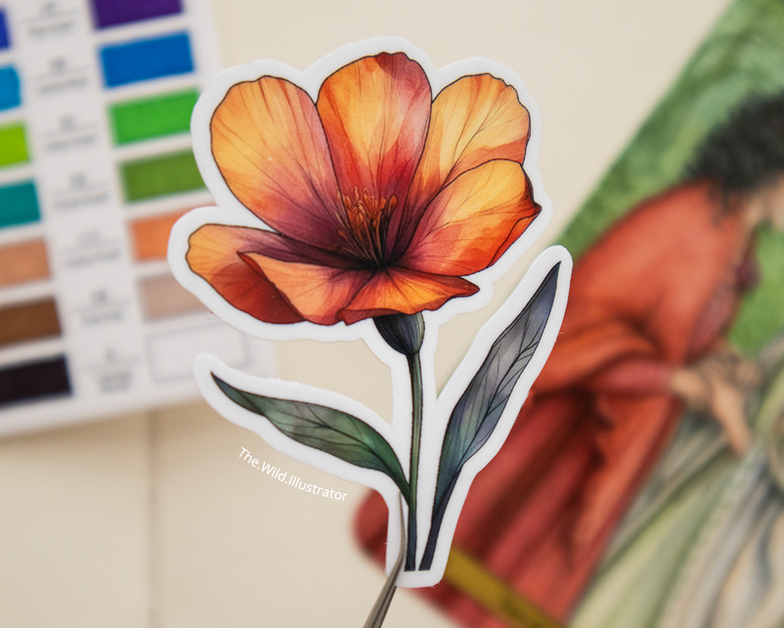 Watercolor red poppy spring sticker