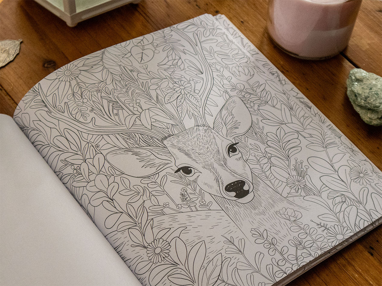 Close-up of a detailed deer in an enchanted forest scene, perfect for mindful coloring