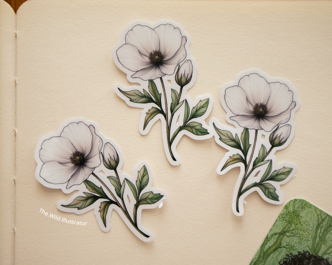 Watercolor spring sticker of a white flower