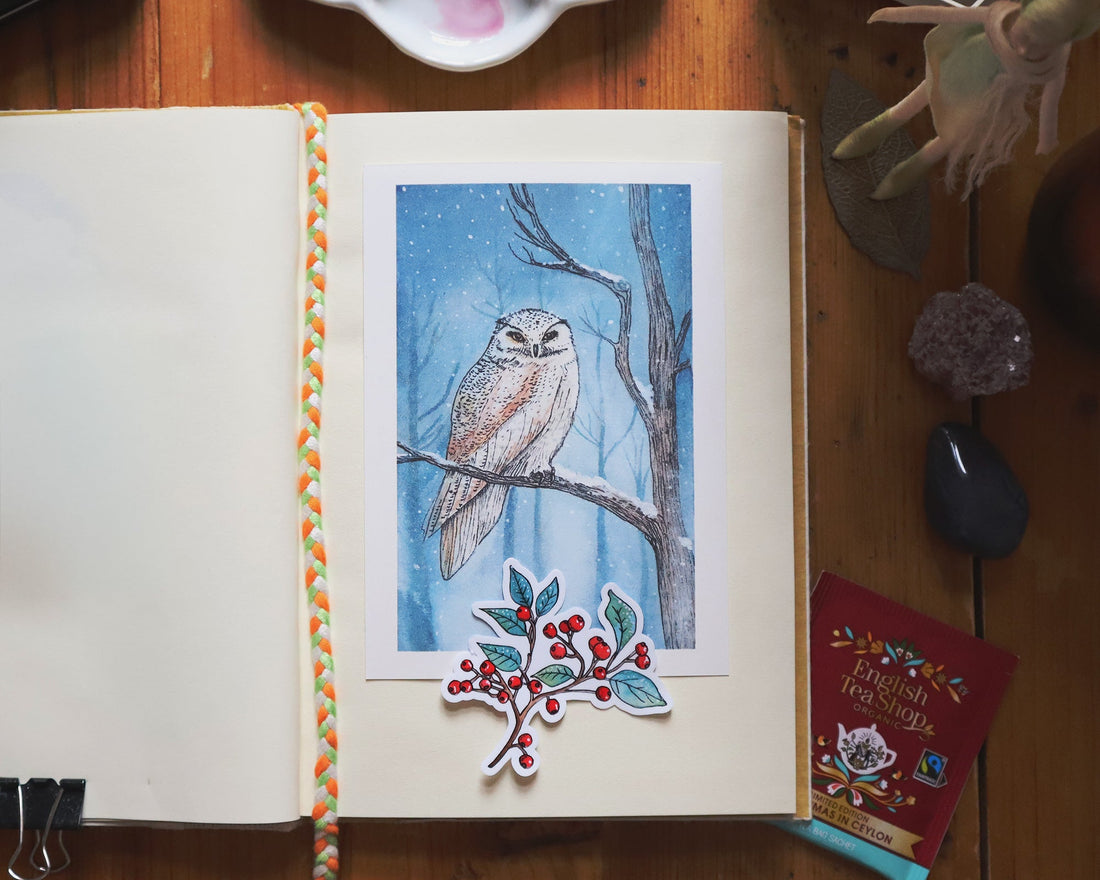 February's Physical Reward – A Winter Reward for My Patrons