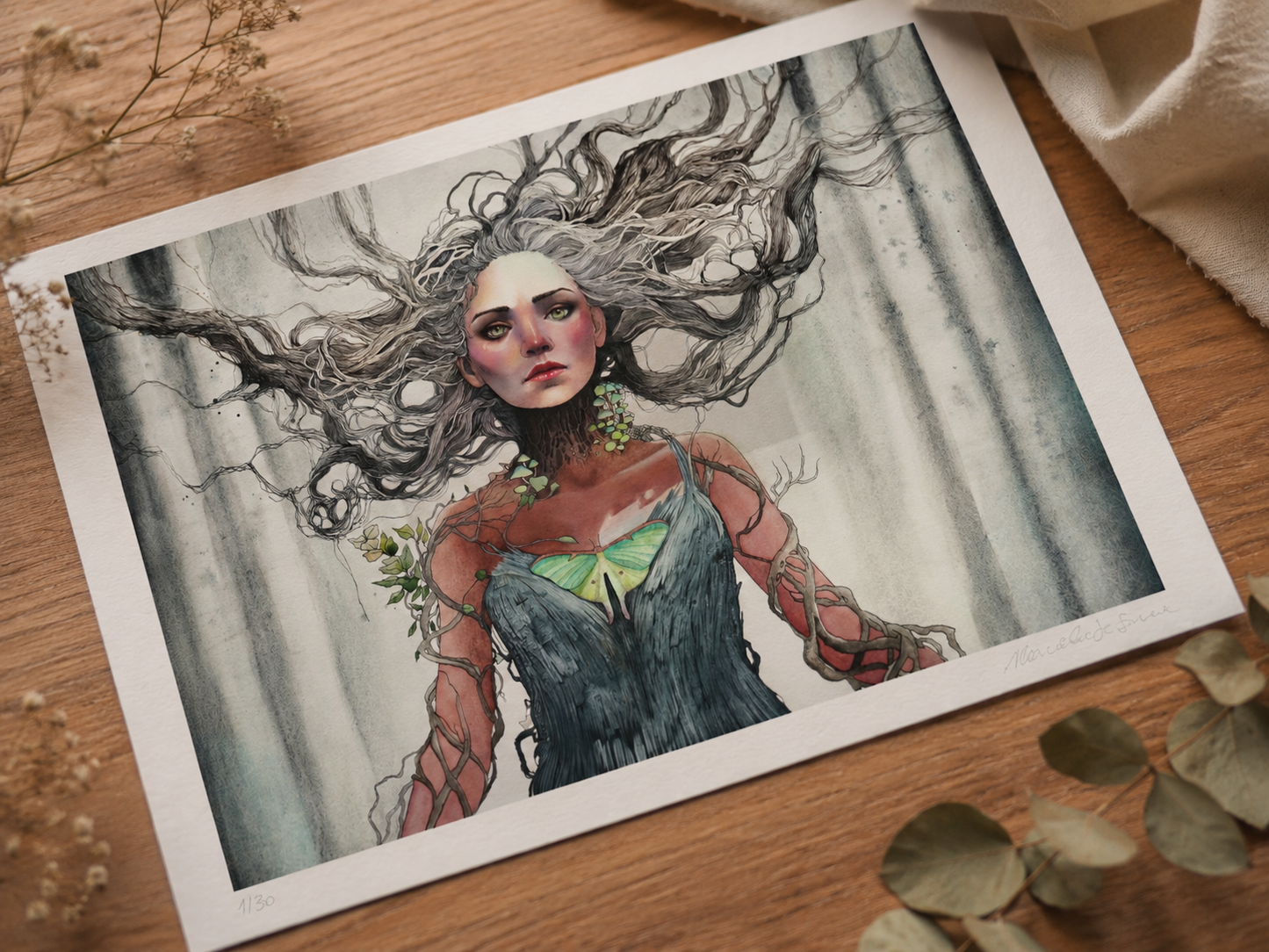 ELEMENTA I | Radix Animae | Limited Edition Fine Art Print