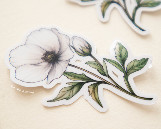 Watercolor spring sticker of a white flower 